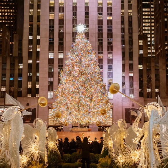 Meet your Posher, Rain! - Picture 1 of 2